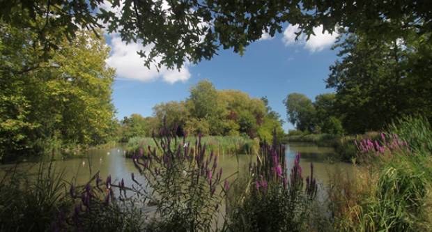 Experience the autumn colours in Hampden Park, Eastbourne